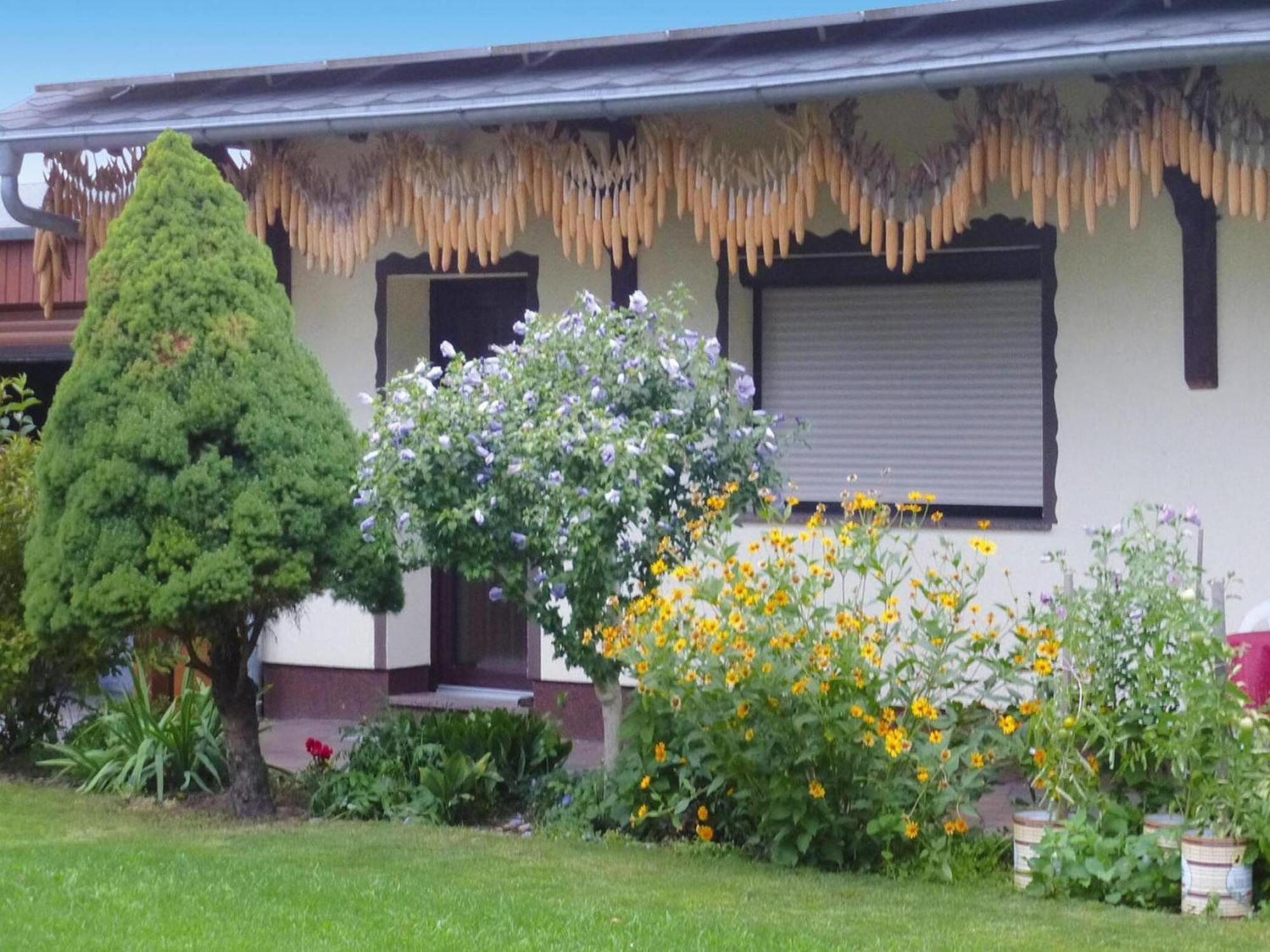 Bungalow In L Bben With A Terrace Lübben Eksteriør billede