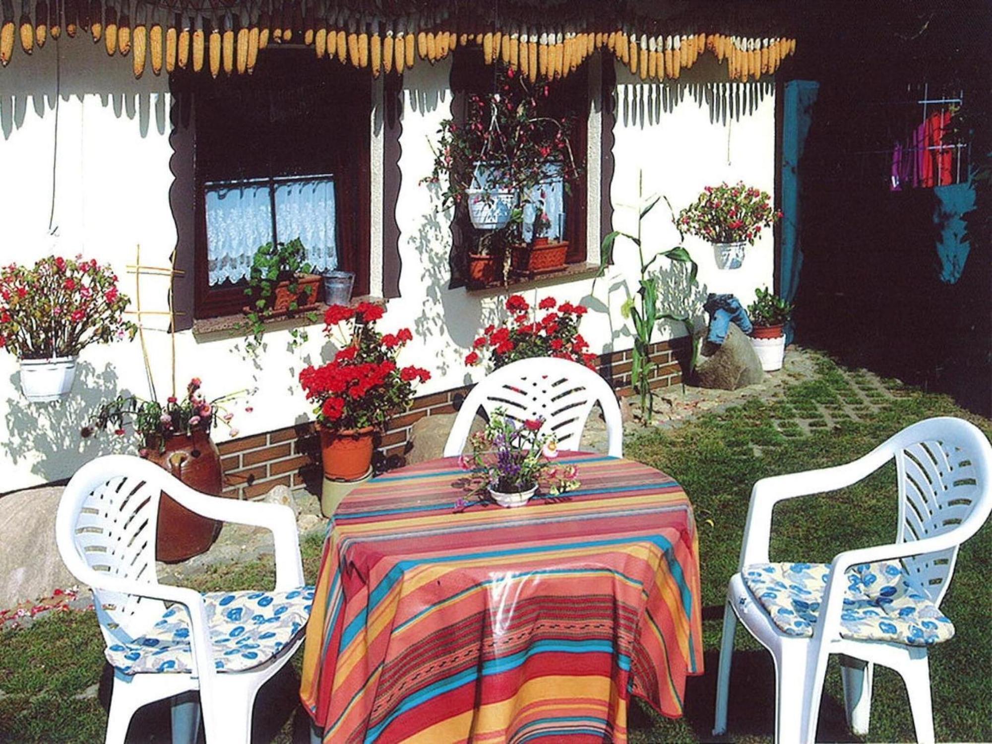 Bungalow In L Bben With A Terrace Lübben Eksteriør billede